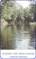 Wading the Trout River